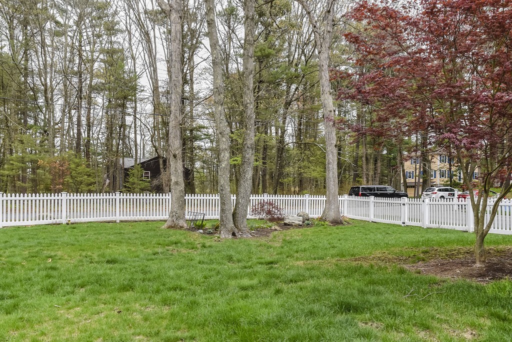2 Alma Road Walpole, MA 02081 - Photo 25 of 27 Gallery Image 25