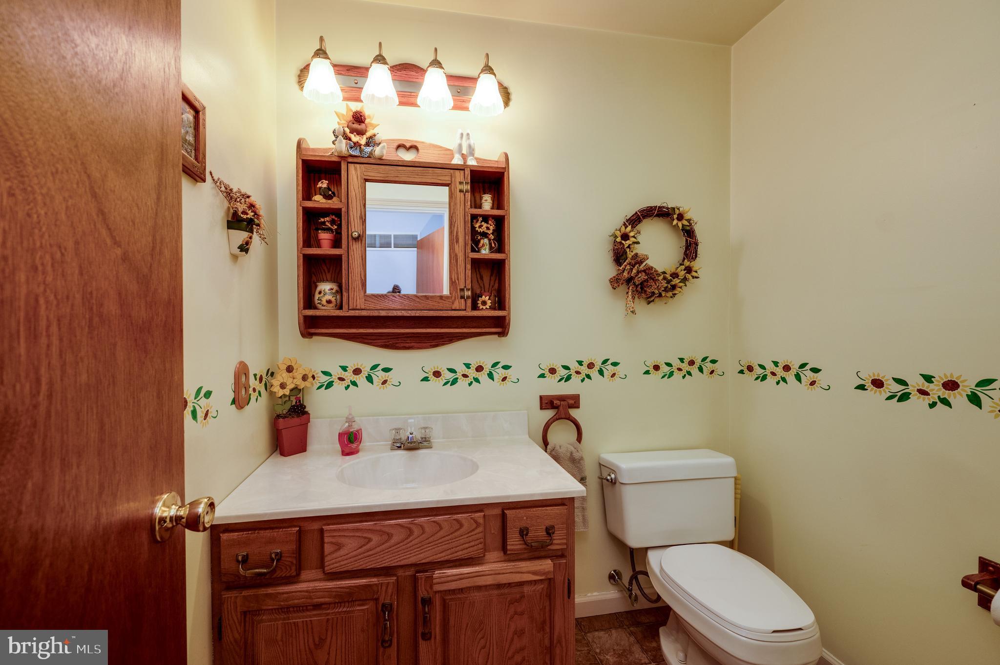 523 Mount Laurel Road Temple, PA 19560 - Photo 12 of 36 a bathroom with a sink mirror and toilet