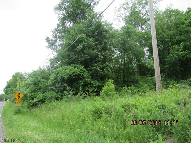 6269 Van Buren Road Clinton, OH 44216 - Photo 1 of 6