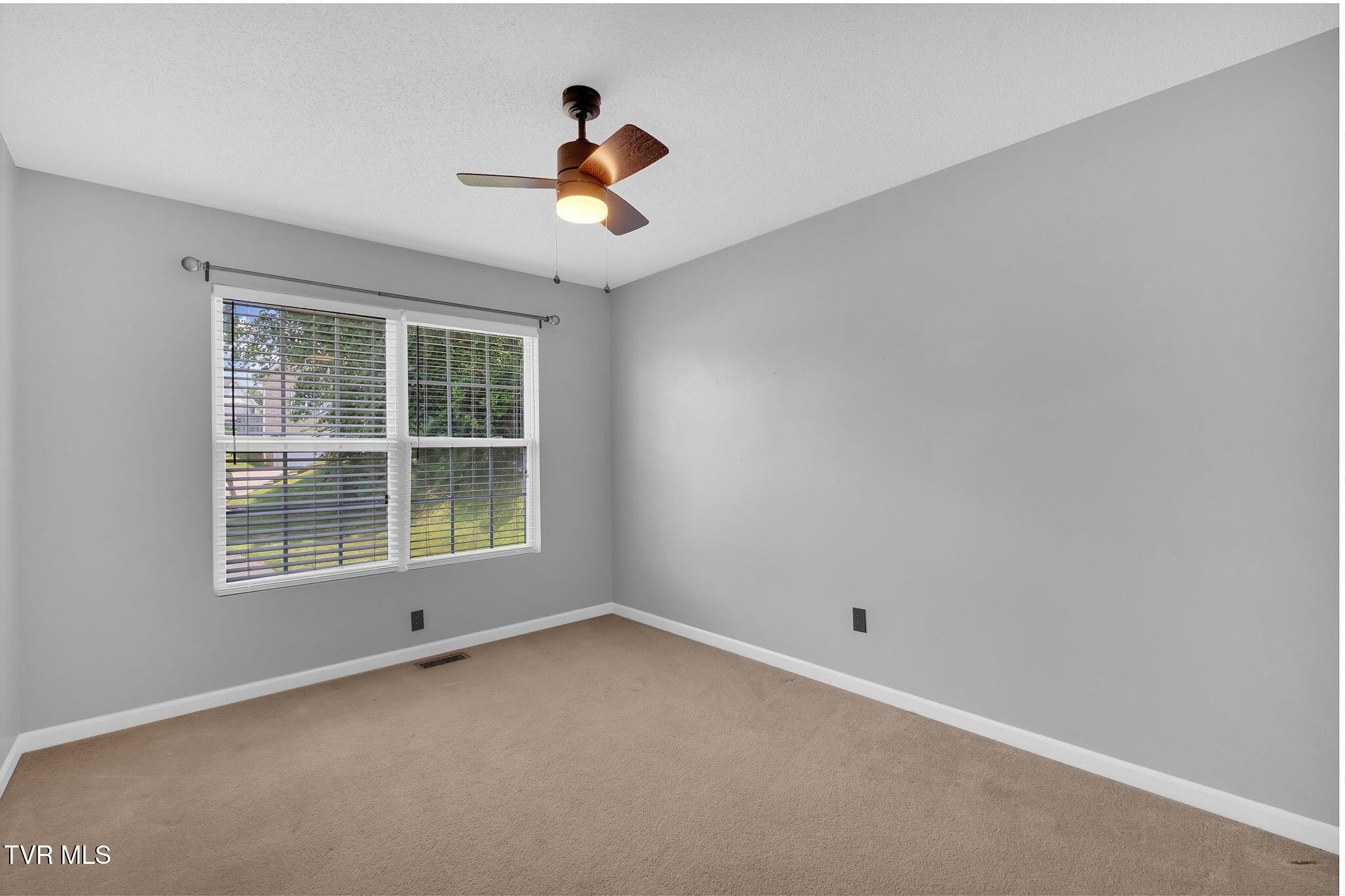 46 Taylor Ridge Court Johnson City, TN 37601 - Photo 11 of 19 large-0197a8c2-381d-72b4-946d-01e3e7e32d