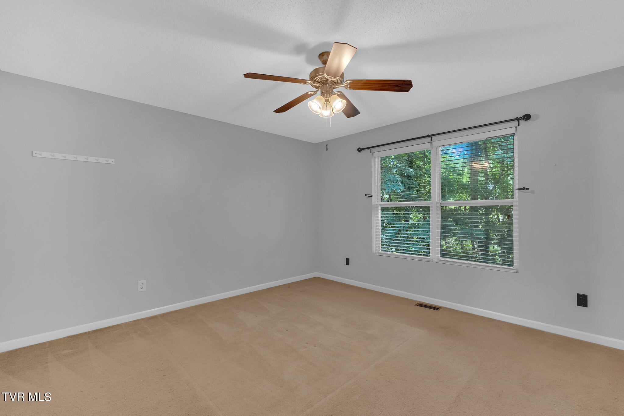 46 Taylor Ridge Court Johnson City, TN 37601 - Photo 6 of 19 large-0197a8c2-37a1-735b-9ab3-e31fd12f13