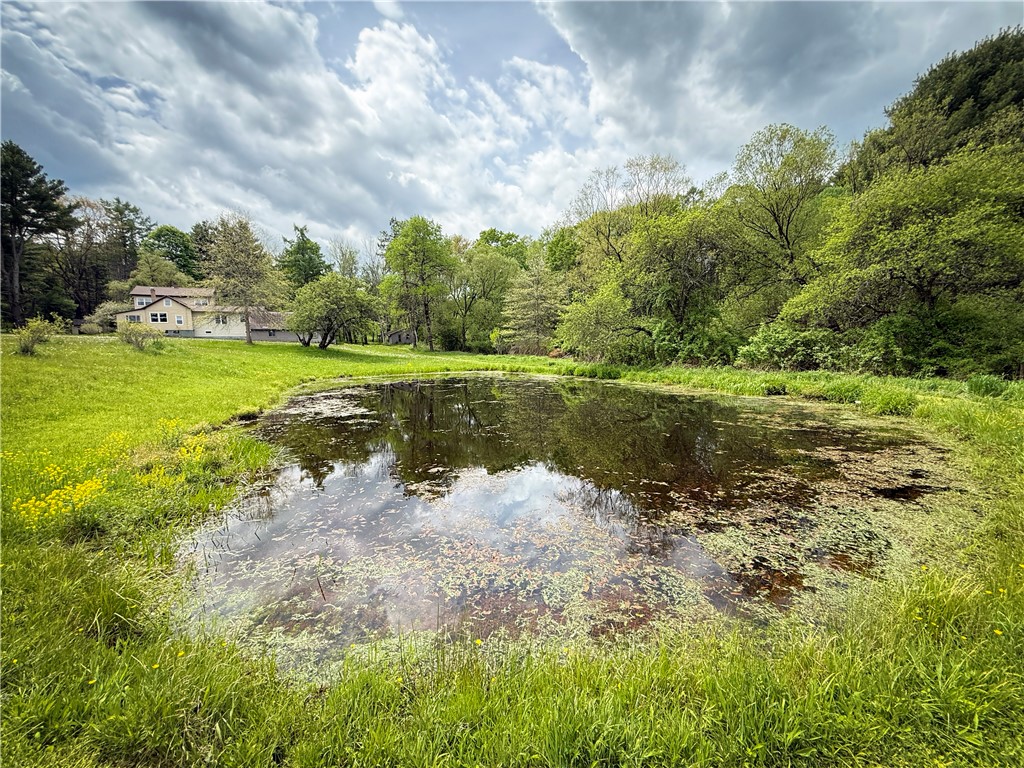 450 Dean Creek Road Spencer, NY 14883 - Photo 43 of 50
