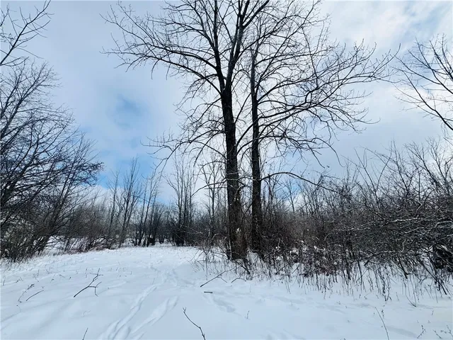 $199,900 | 6347 Woodland Drive, Conesus, NY 14435