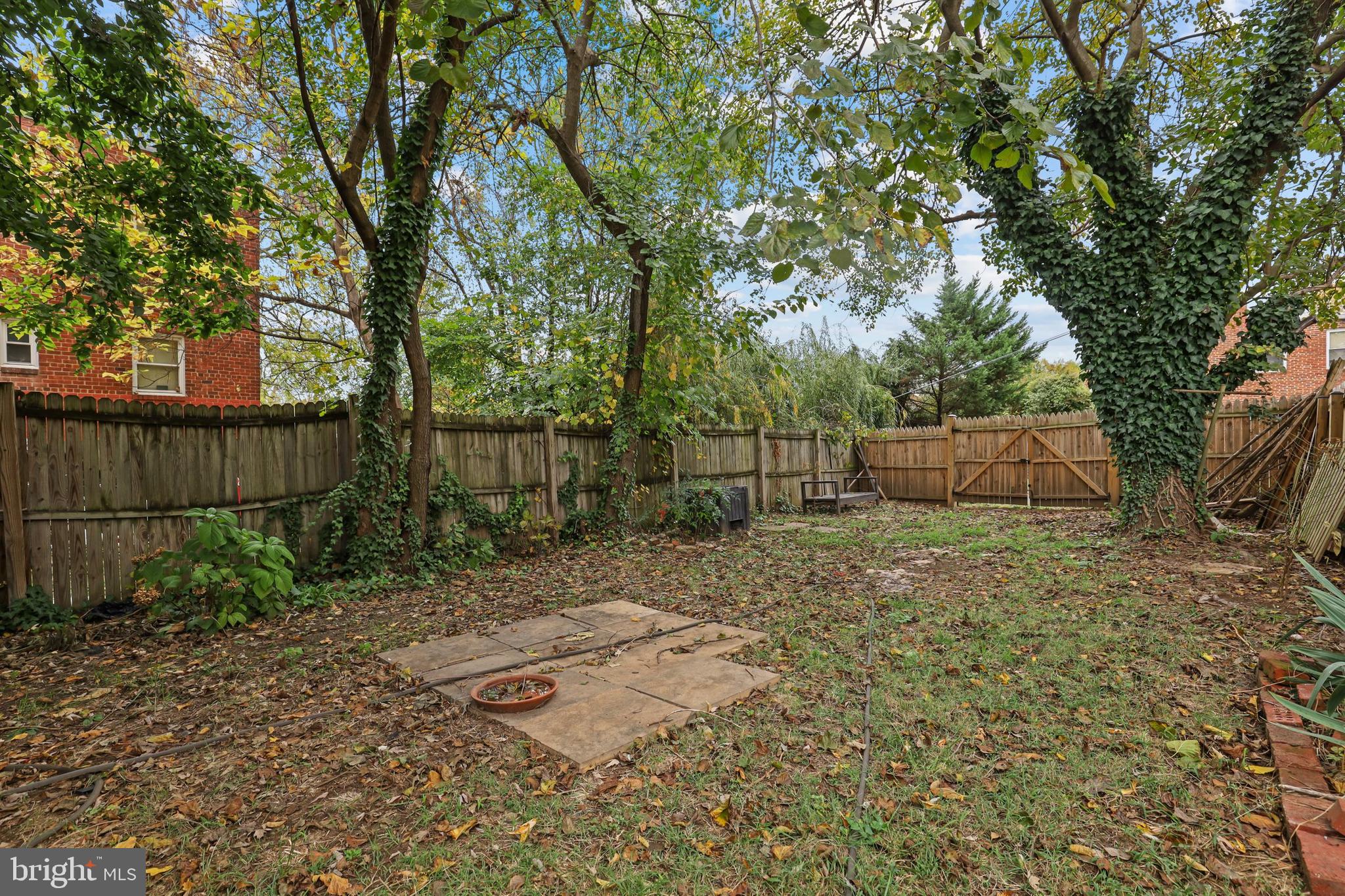 1015 48th Street Northeast Washington, DC 20019 - Photo 30 of 34 A yard and parking!