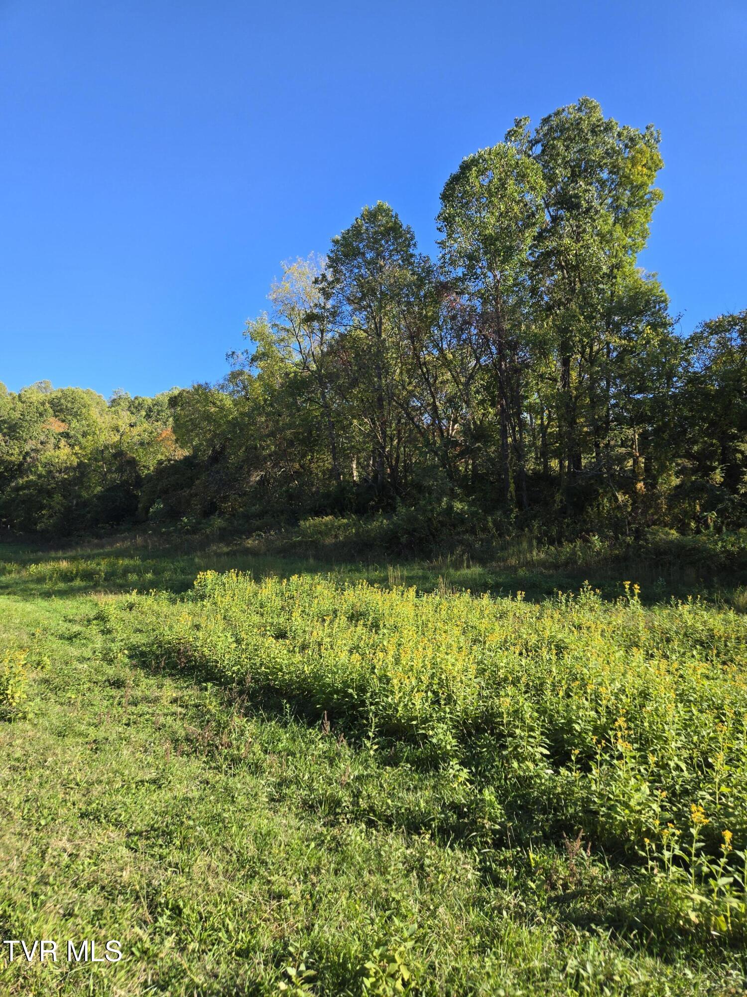 Tbd Baileyton Road, Unit 2 Afton, TN 37616 - Photo 11 of 17 20251015_170742