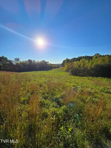 $275,000 | Tbd Baileyton Road, Unit 2, Afton, TN 37616