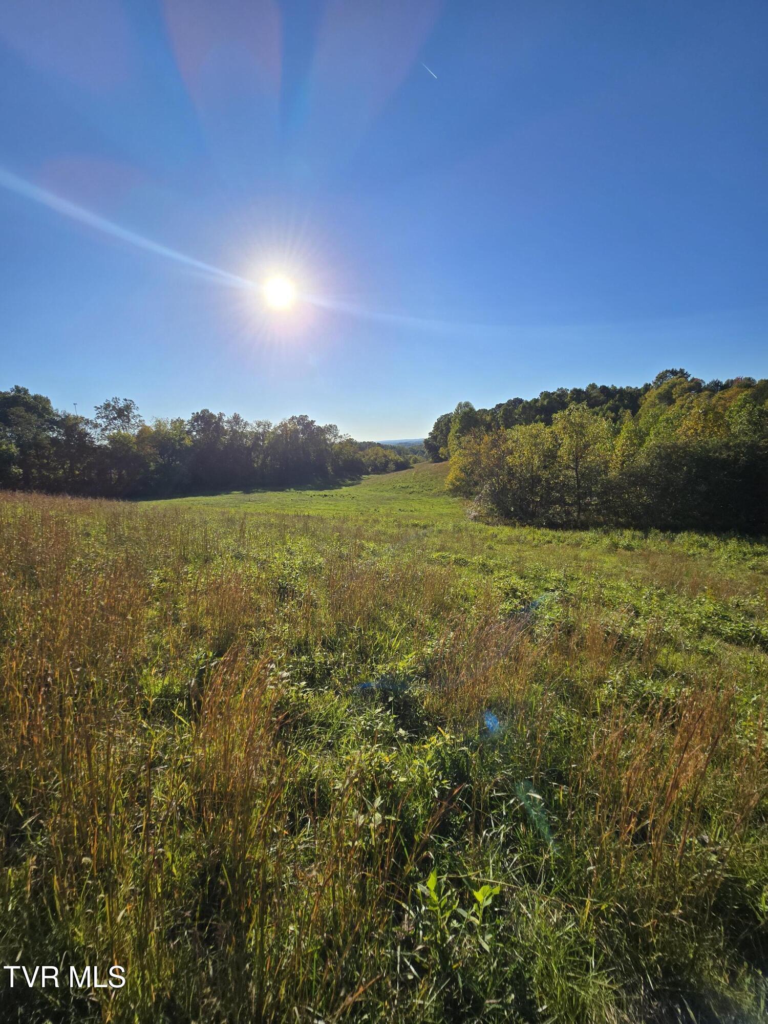 Tbd Baileyton Road, Unit 2 Afton, TN 37616 - Photo 13 of 17 20251015_171645