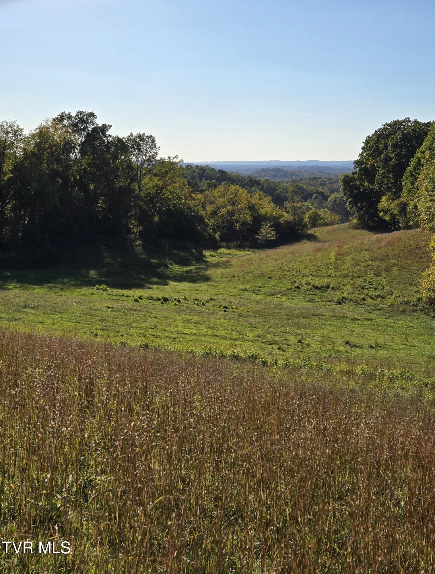 Tbd Baileyton Road, Unit 2 Afton, TN 37616 - Photo 16 of 17 20251015_172929
