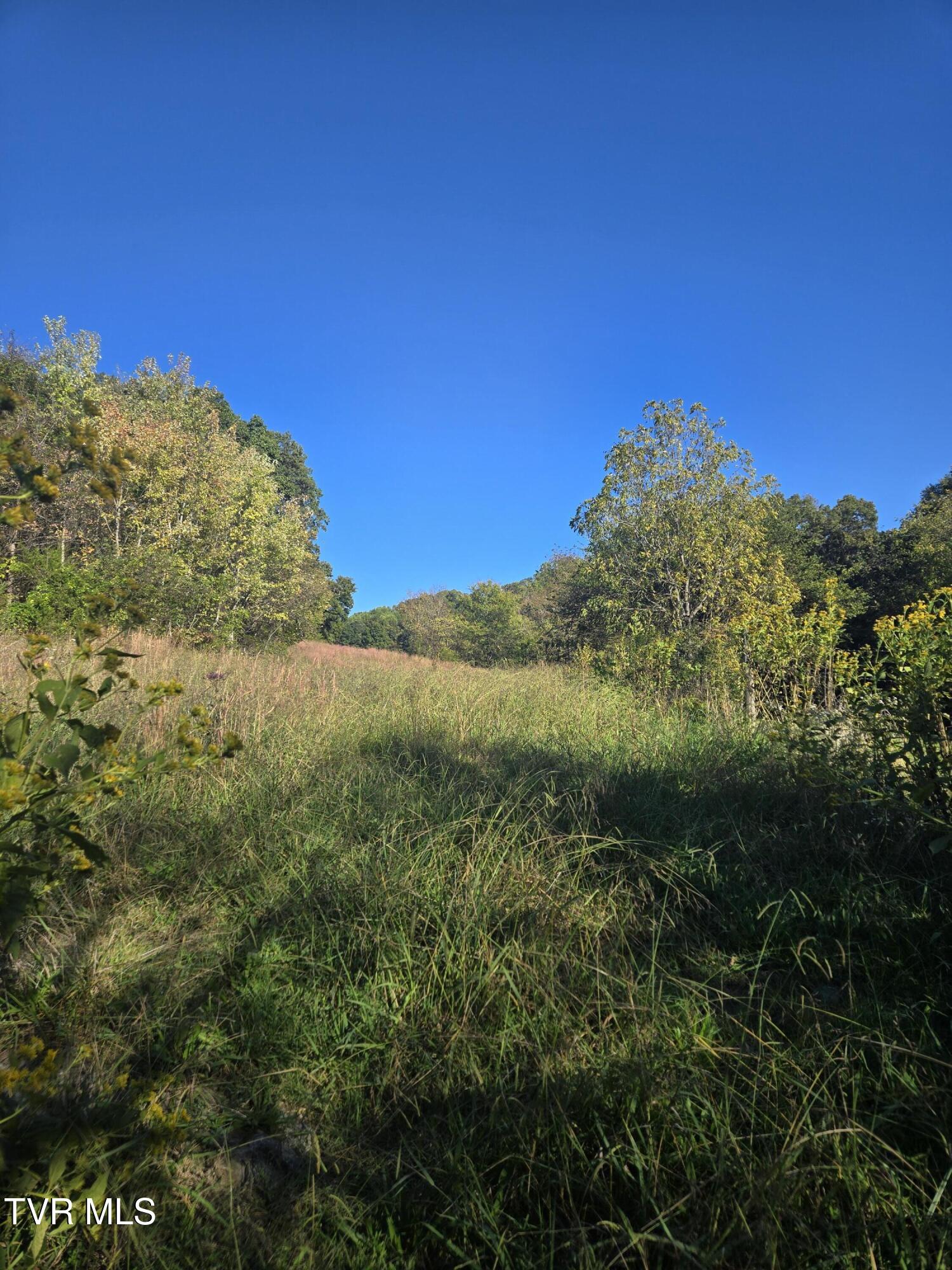Tbd Baileyton Road, Unit 2 Afton, TN 37616 - Photo 3 of 17 20251015_165634