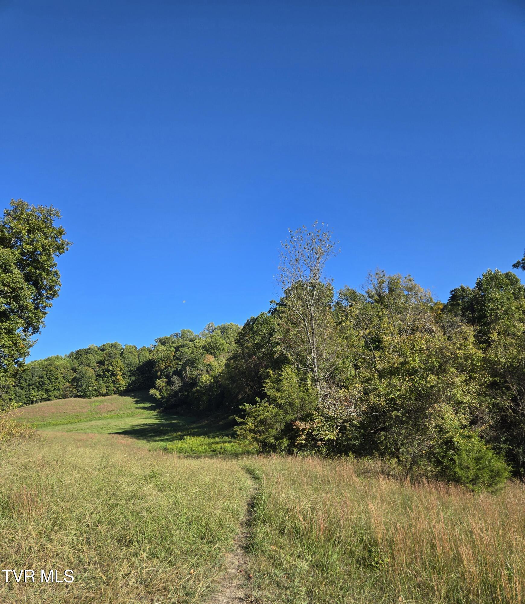 Tbd Baileyton Road, Unit 2 Afton, TN 37616 - Photo 5 of 17 20251015_170418