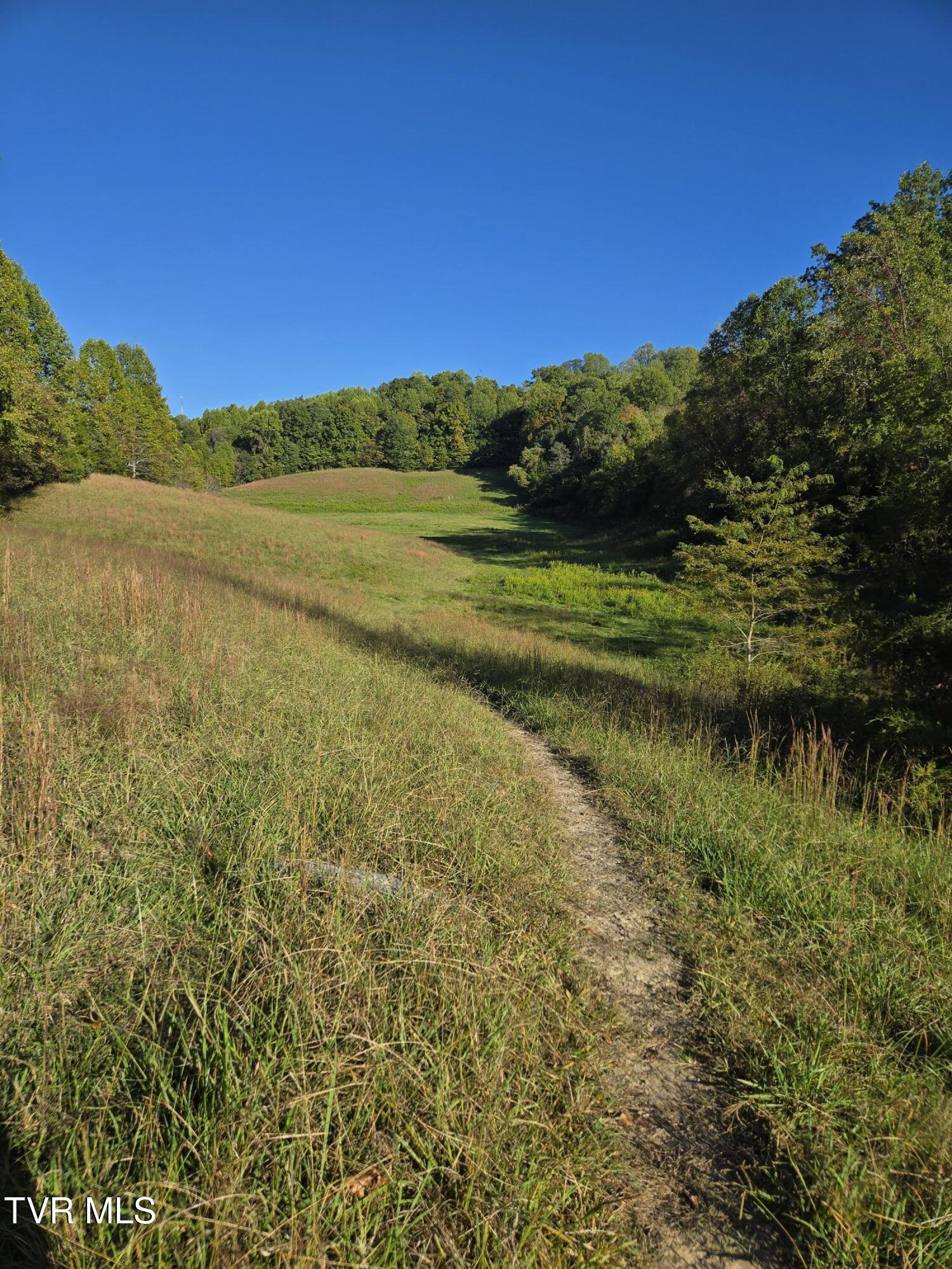 Tbd Baileyton Road, Unit 2 Afton, TN 37616 - Photo 6 of 17 20251015_170444