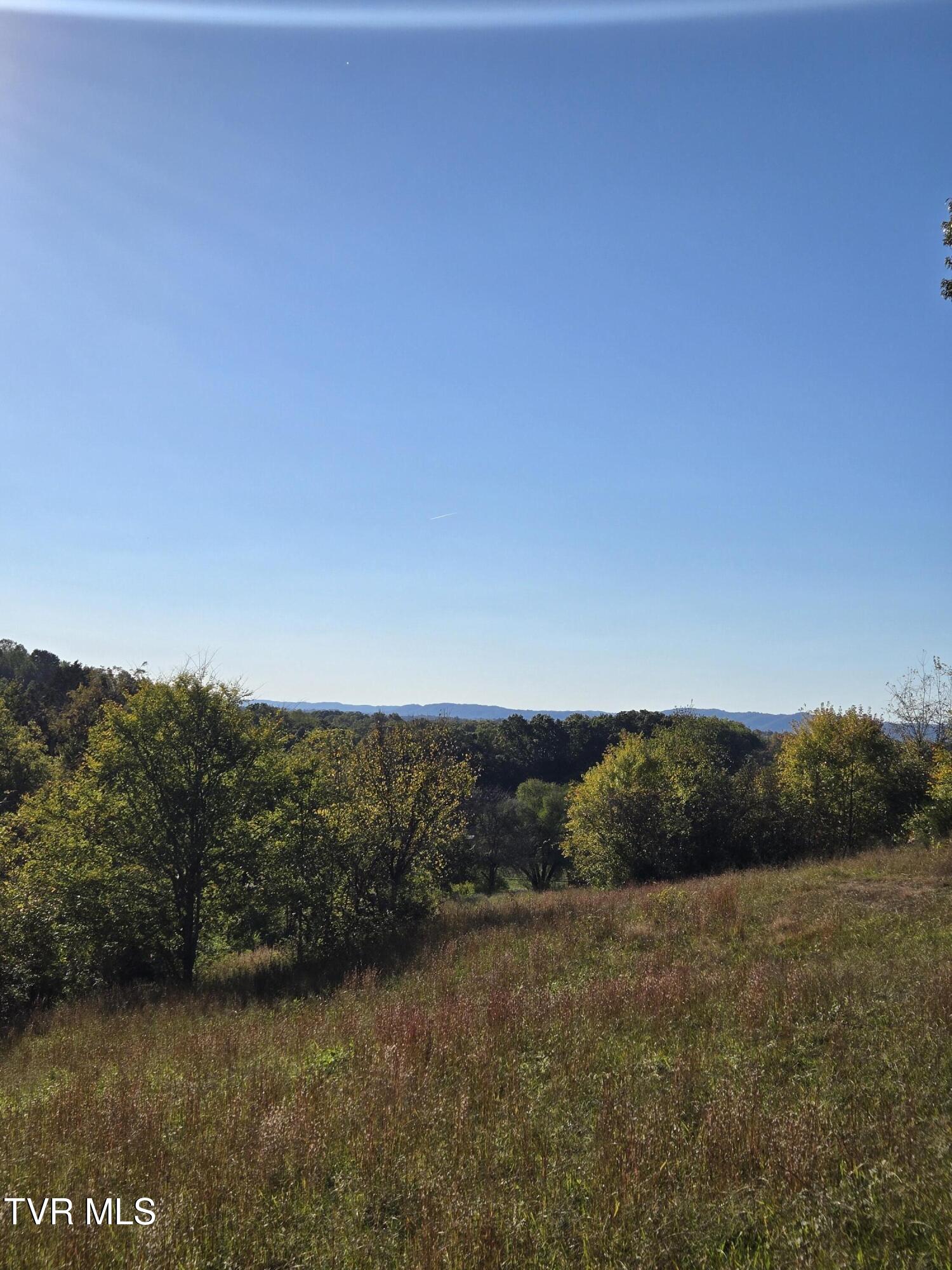 Tbd Baileyton Road, Unit 2 Afton, TN 37616 - Photo 7 of 17 20251015_170512