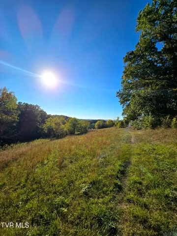 $275,000 | Tbd Baileyton Road, Unit 2, Afton, TN 37616