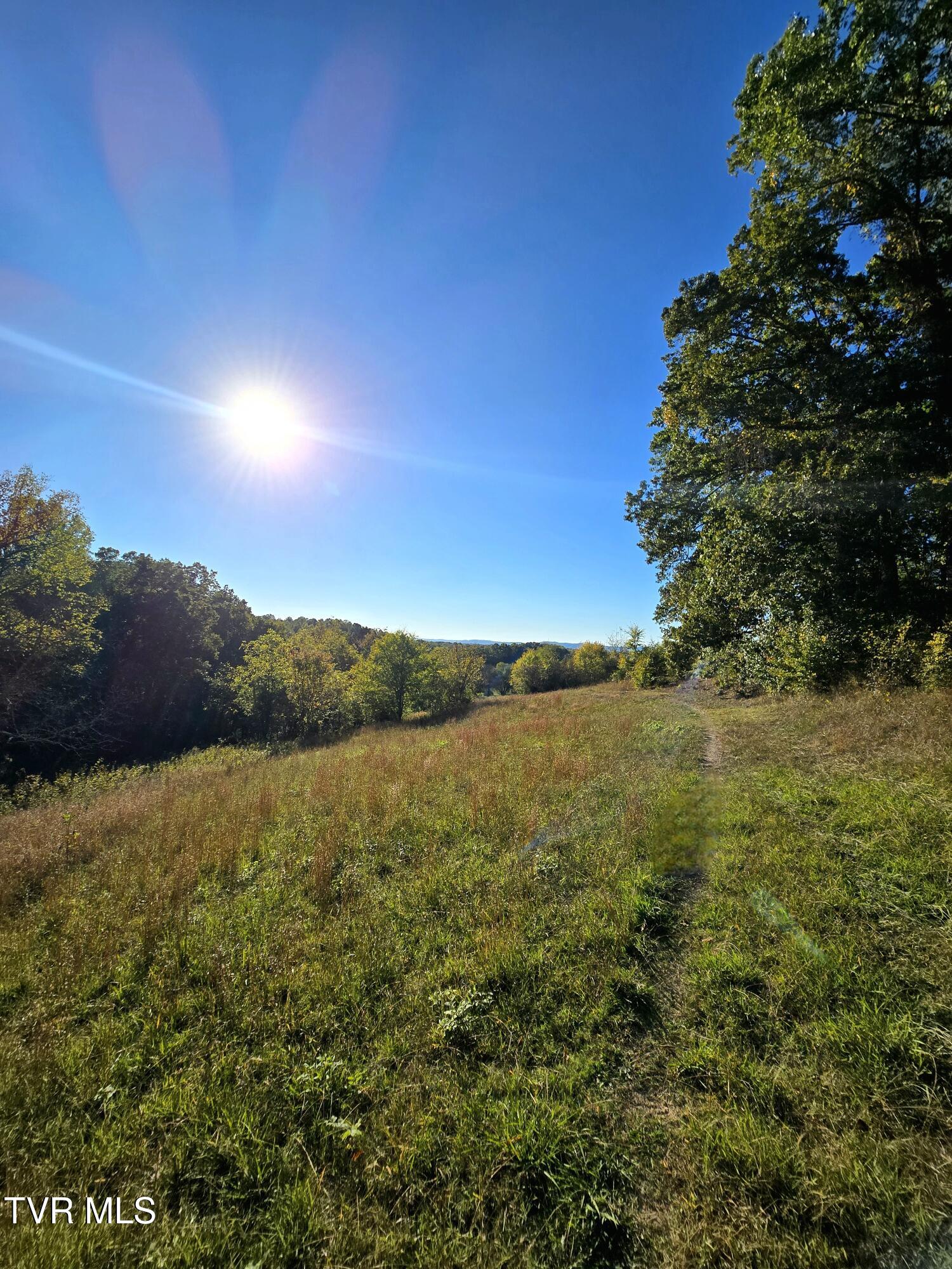 Tbd Baileyton Road, Unit 2 Afton, TN 37616 - Photo 8 of 17 20251015_170516