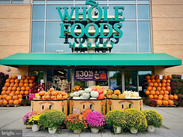 a store filled with lots of different kinds of flowers