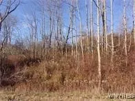 $85,000 | 5338 Bryant Hill Road, Ellicottville, NY 14731