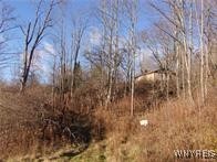 5338 Bryant Hill Road Ellicottville, NY 14731 - Photo 2 of 4
