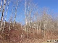 5338 Bryant Hill Road Ellicottville, NY 14731 - Photo 4 of 4
