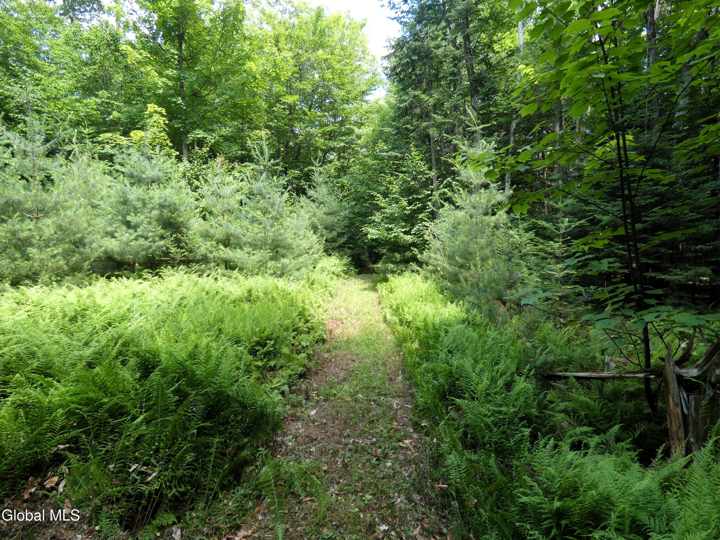 323 Goodman Road Johnsburg, NY 12843 - Photo 21 of 40 P1040119