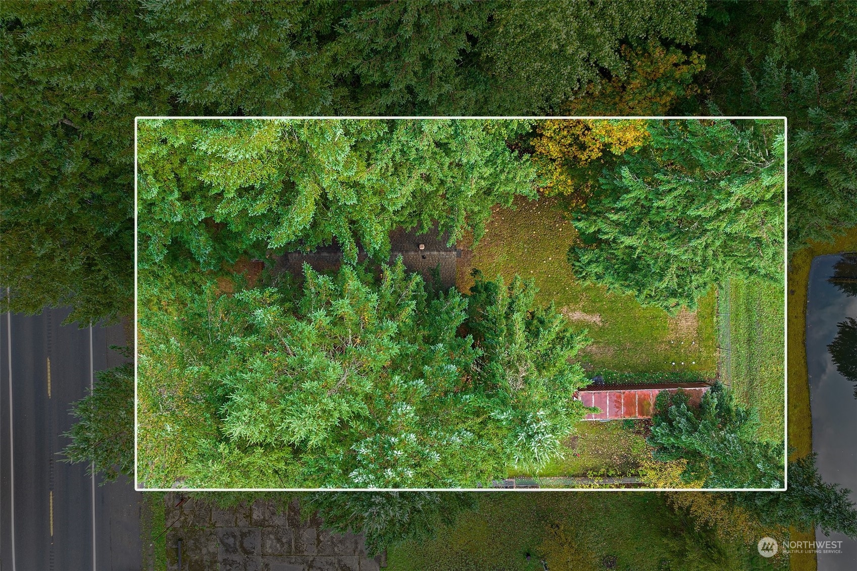 360 Highway 7 Morton, WA 98356 - Photo 22 of 23 a view of a forest