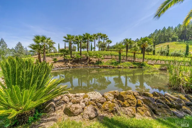 $6,800,000 | 4447 St Helena Highway, Calistoga, CA 94515