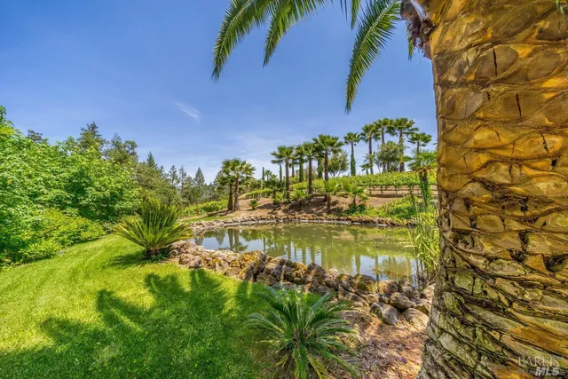 $6,800,000 | 4447 St Helena Highway, Calistoga, CA 94515