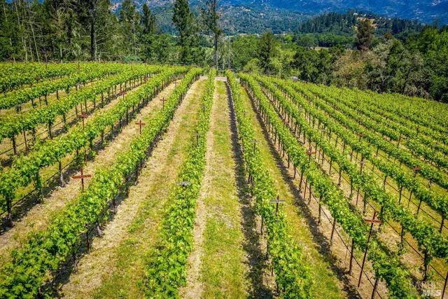 $6,800,000 | 4447 St Helena Highway, Calistoga, CA 94515