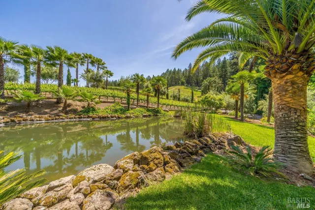 $6,800,000 | 4447 St Helena Highway, Calistoga, CA 94515