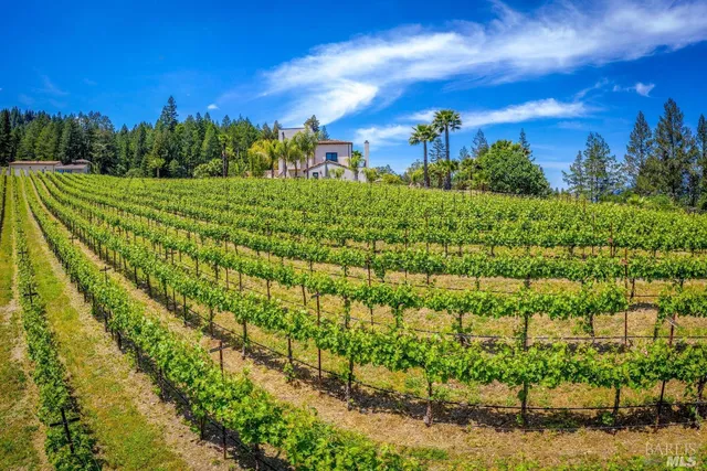$6,800,000 | 4447 St Helena Highway, Calistoga, CA 94515