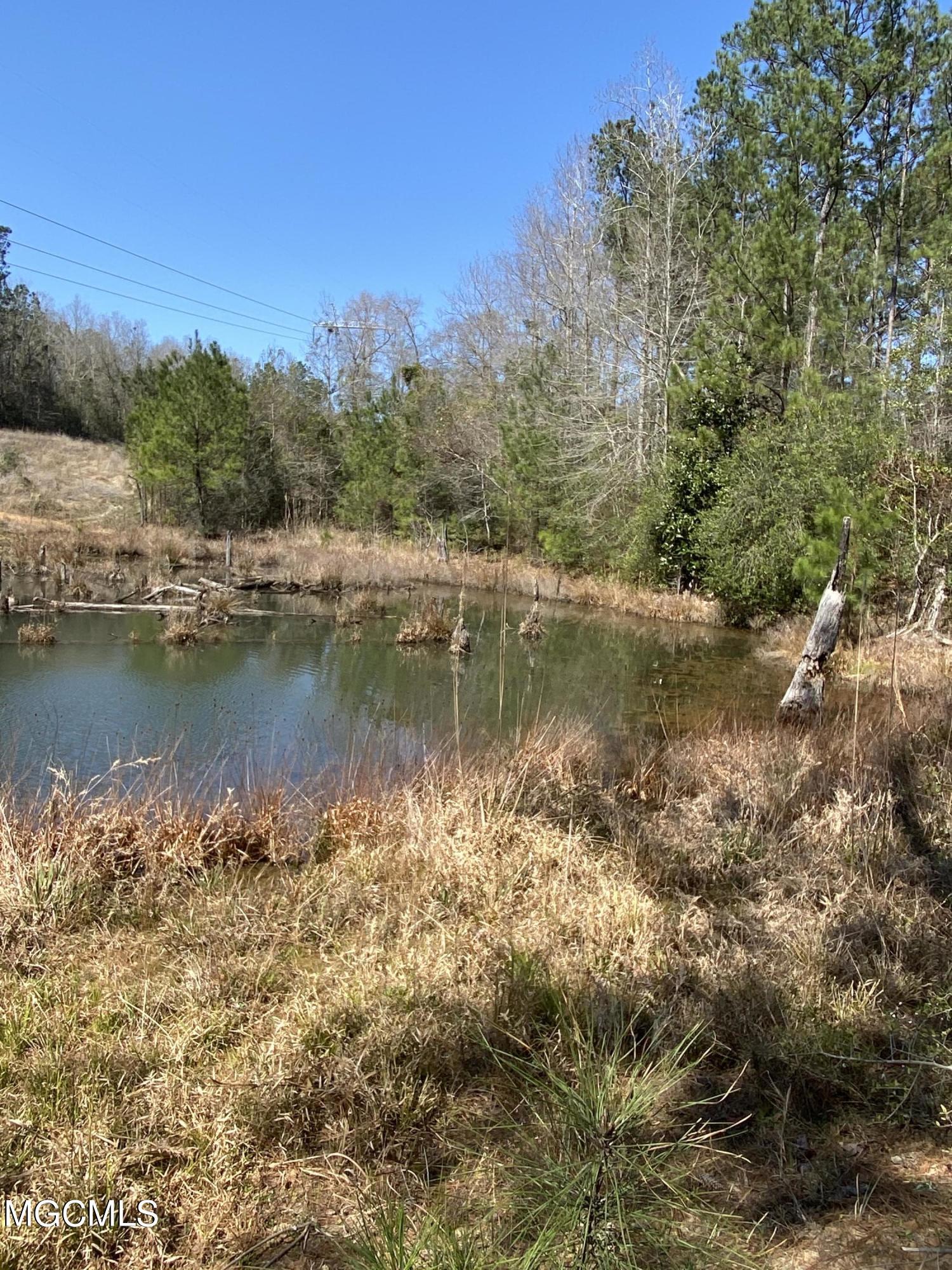 21 A Hester Loop Perkinston, MS 39573 - Photo 1 of 1 HESTER LOOP 2.msg