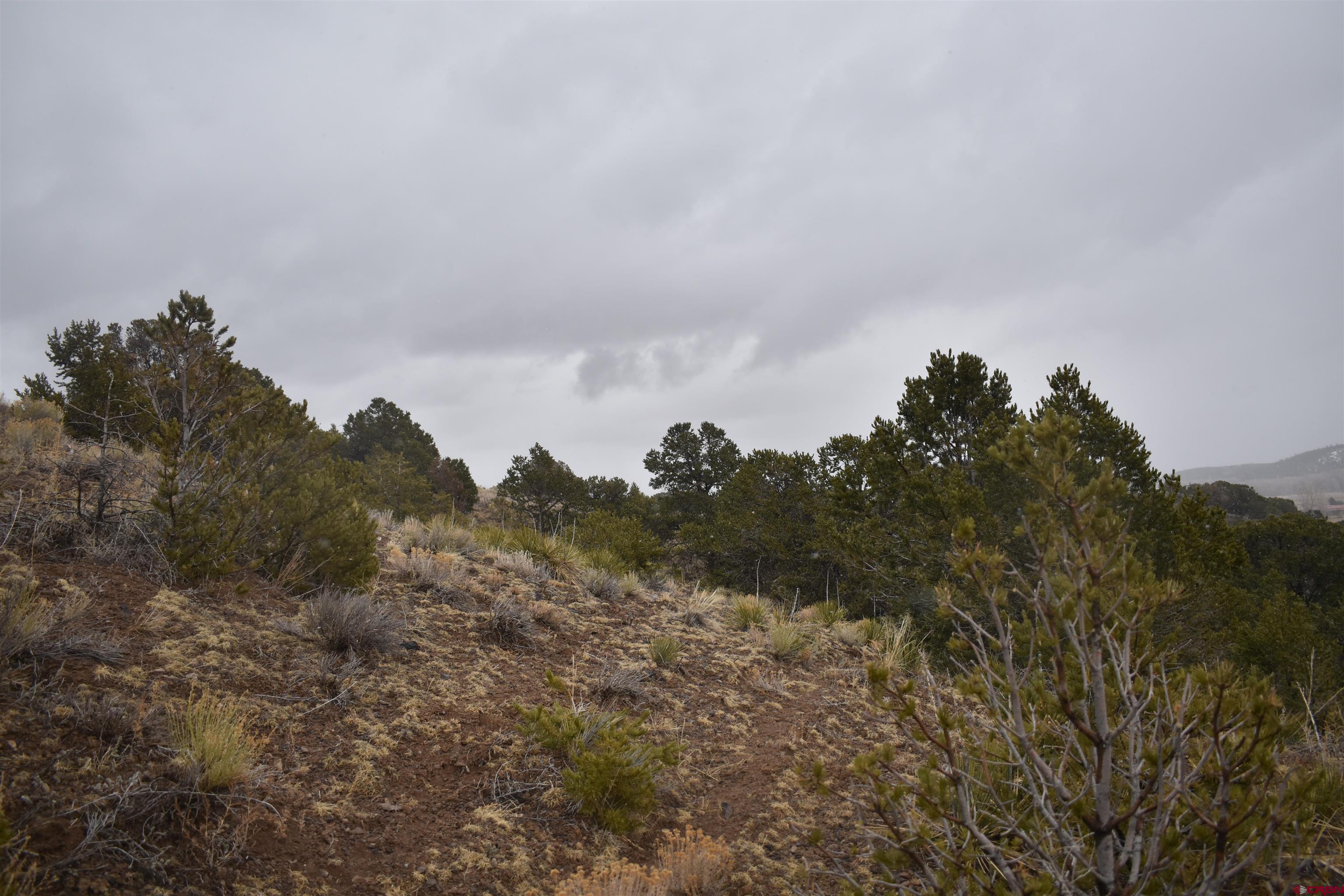 284 Kit Carson Road South Fork, CO 81154 - Photo 3 of 4 Gallery Image 3