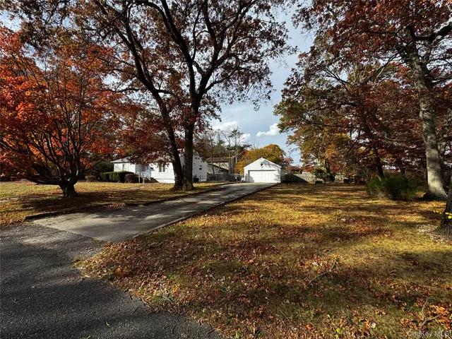 a view of yard with tree