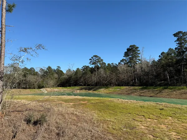a view of a green field with trees in the background