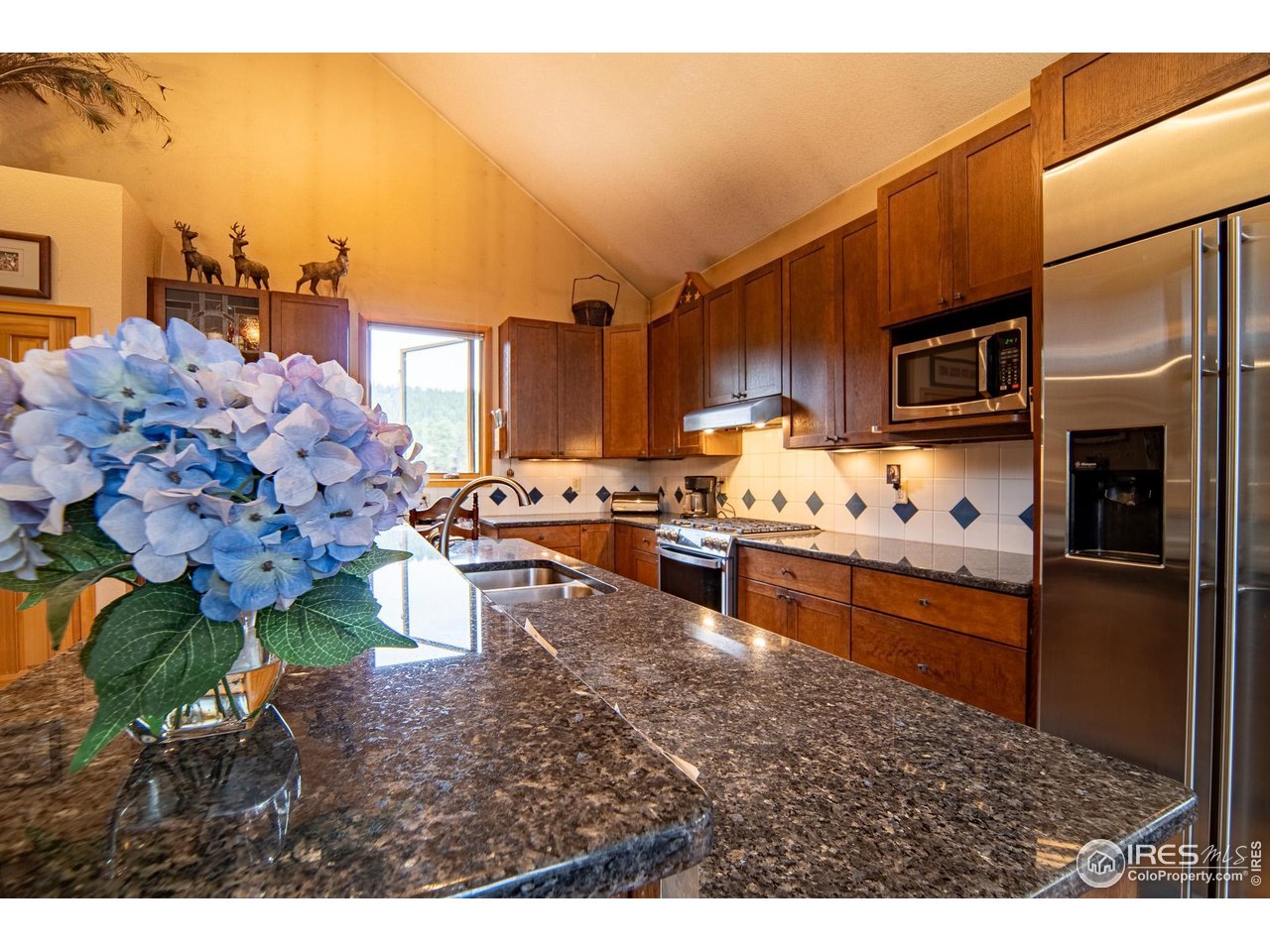 237 Puma Drive Boulder, CO 80302 - Photo 16 of 40 Gorgeous blue pearl granite countertops