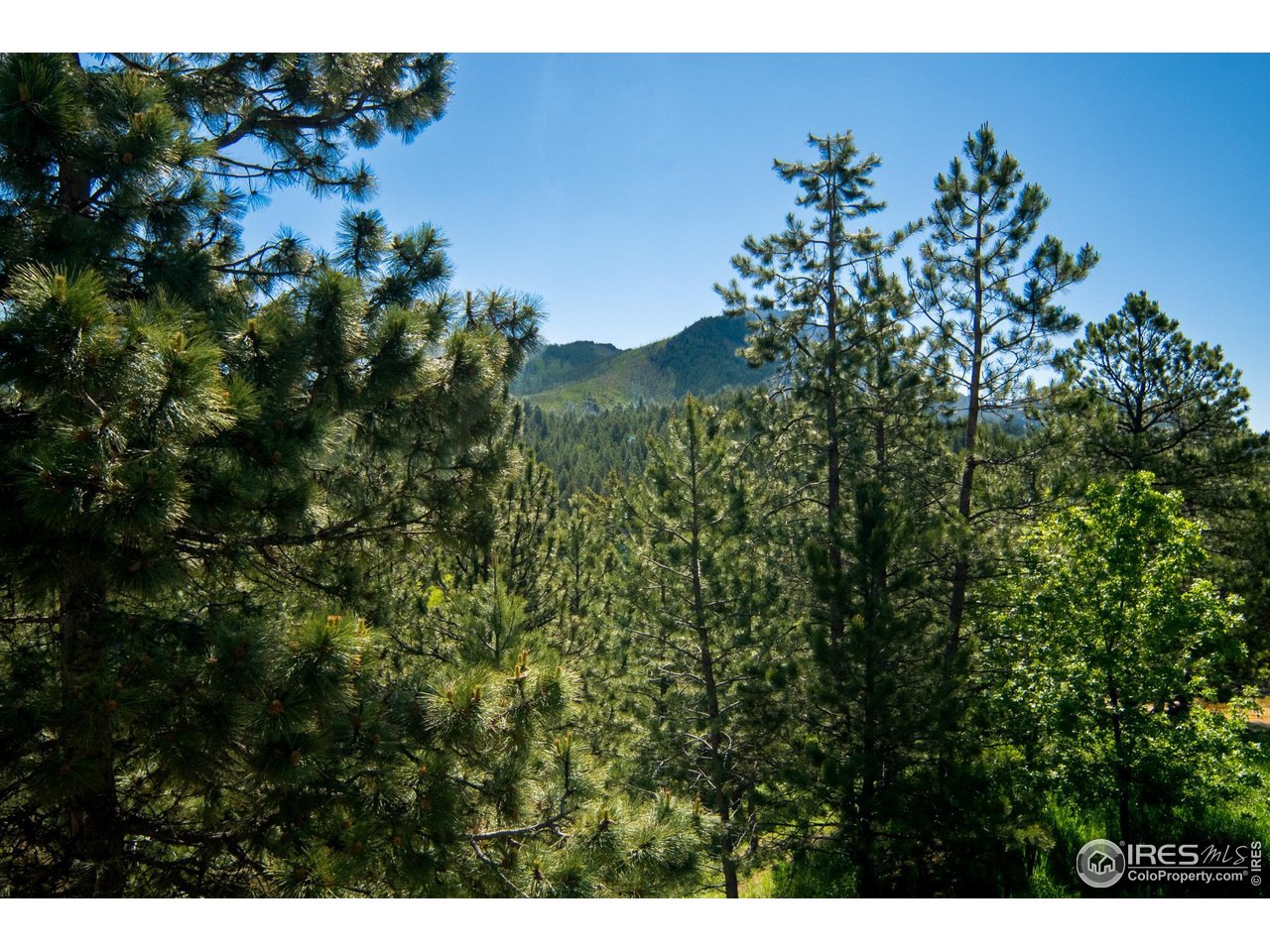 237 Puma Drive Boulder, CO 80302 - Photo 39 of 40 Peaceful