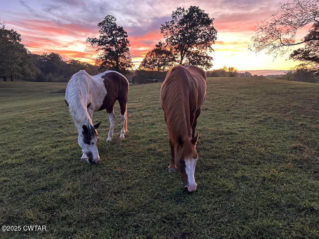 255 Hartley Road Camden, TN 38320 - Photo 62 of 79 a view of outdoor space and yard
