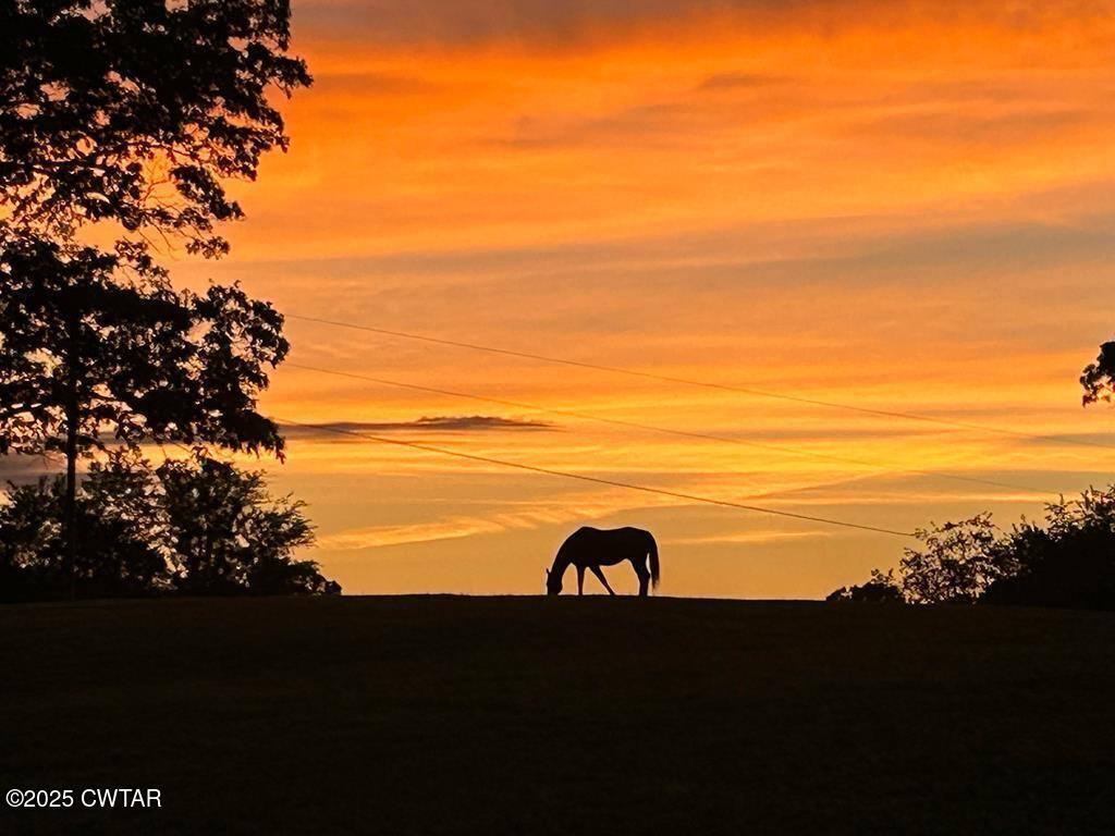 255 Hartley Road Camden, TN 38320 - Photo 64 of 79 a view of a ocean