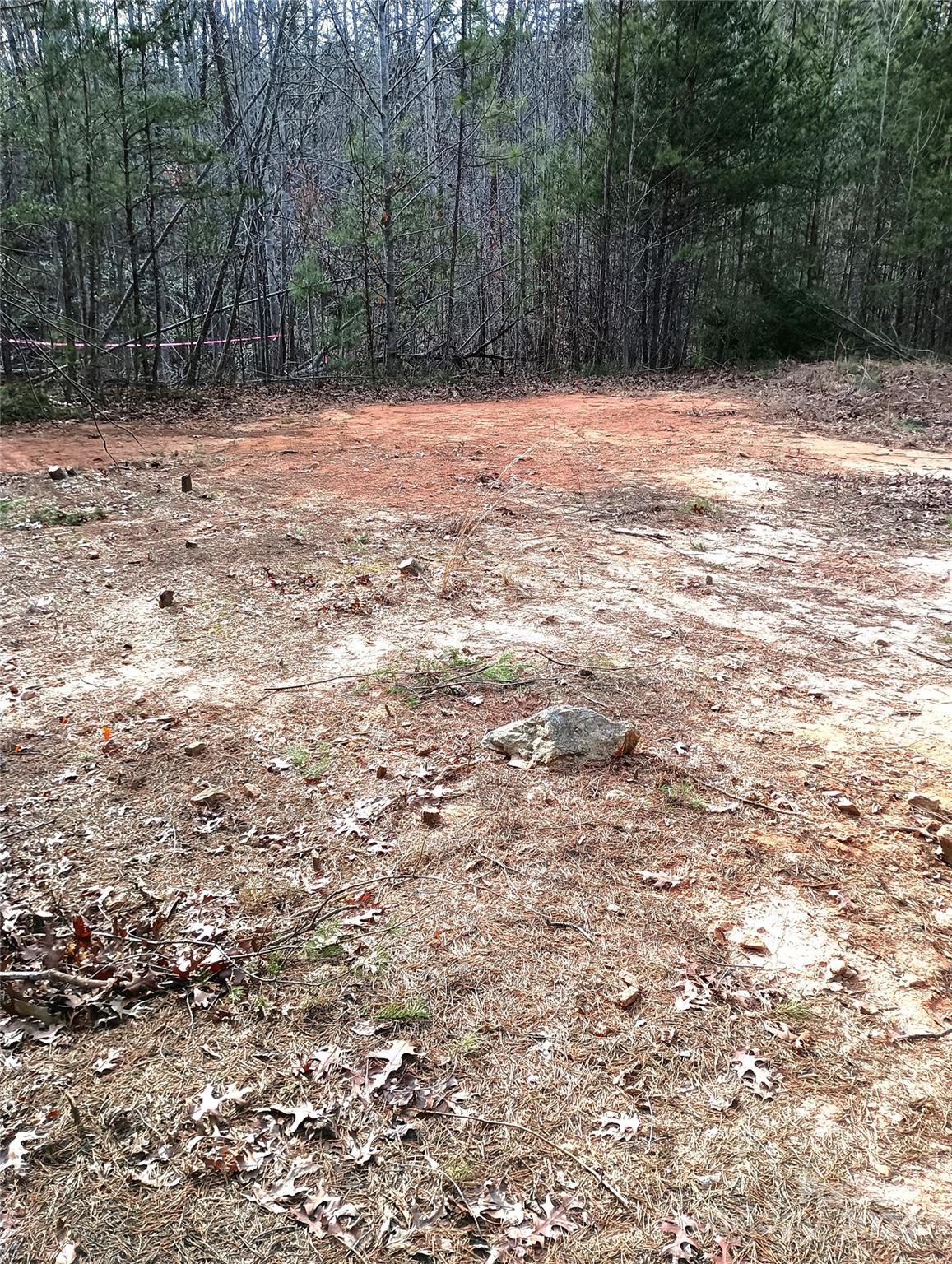 0 Hitching Post Drive, Unit 9 Mill Spring, NC 28756 - Photo 2 of 7 Gallery Image 2