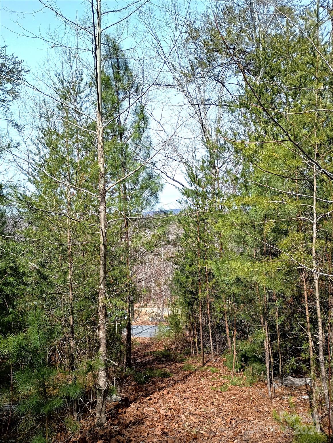 0 Hitching Post Drive, Unit 9 Mill Spring, NC 28756 - Photo 5 of 7 Gallery Image 5