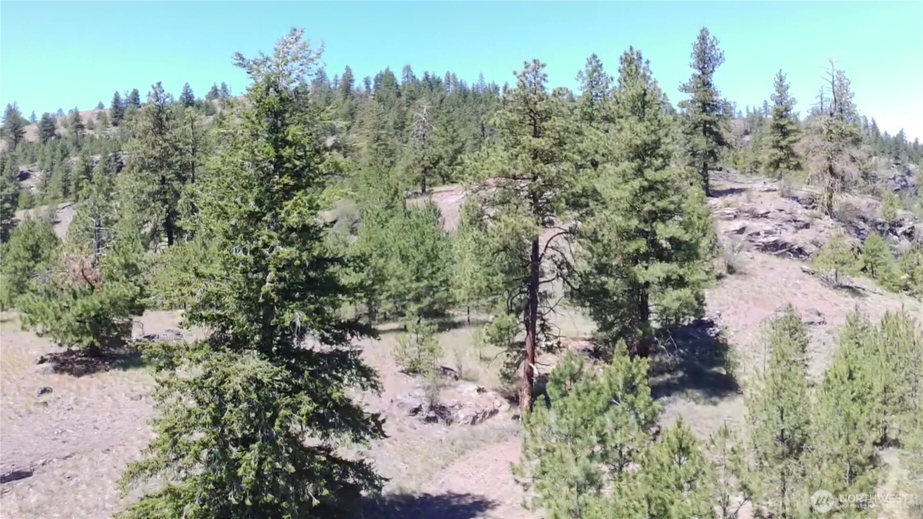 132 West Cayuse Mountain Road Tonasket, WA 98855 - Photo 18 of 29