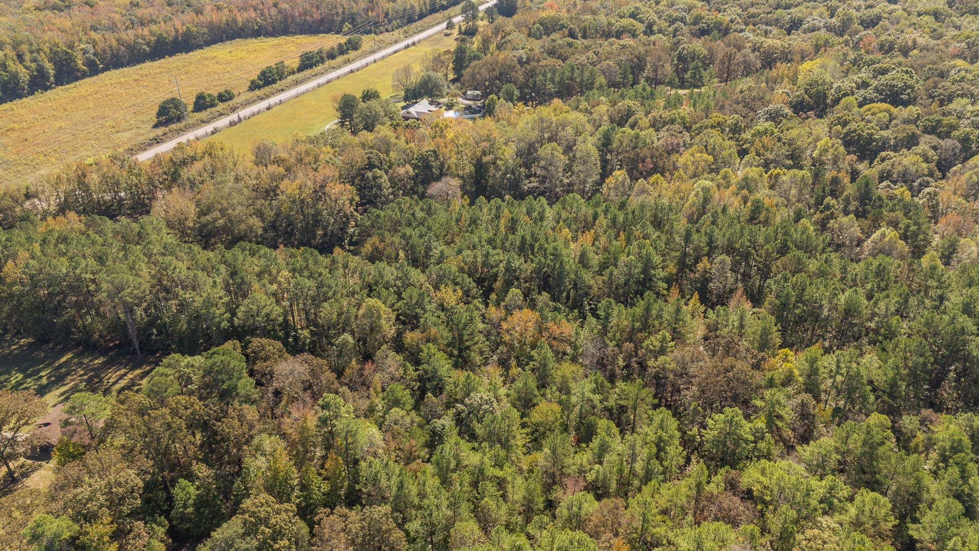 0 Cliffview Road Bolivar, TN 38008 - Photo 11 of 23 a view of a field with a tree