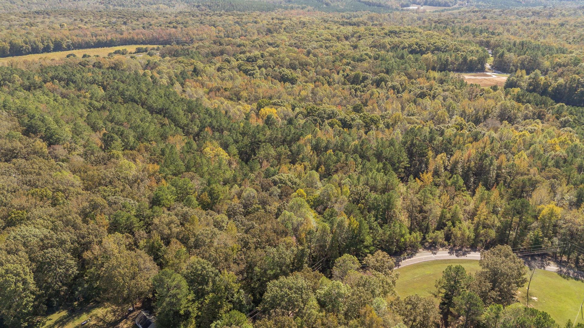 0 Cliffview Road Bolivar, TN 38008 - Photo 14 of 23 a view of a lake