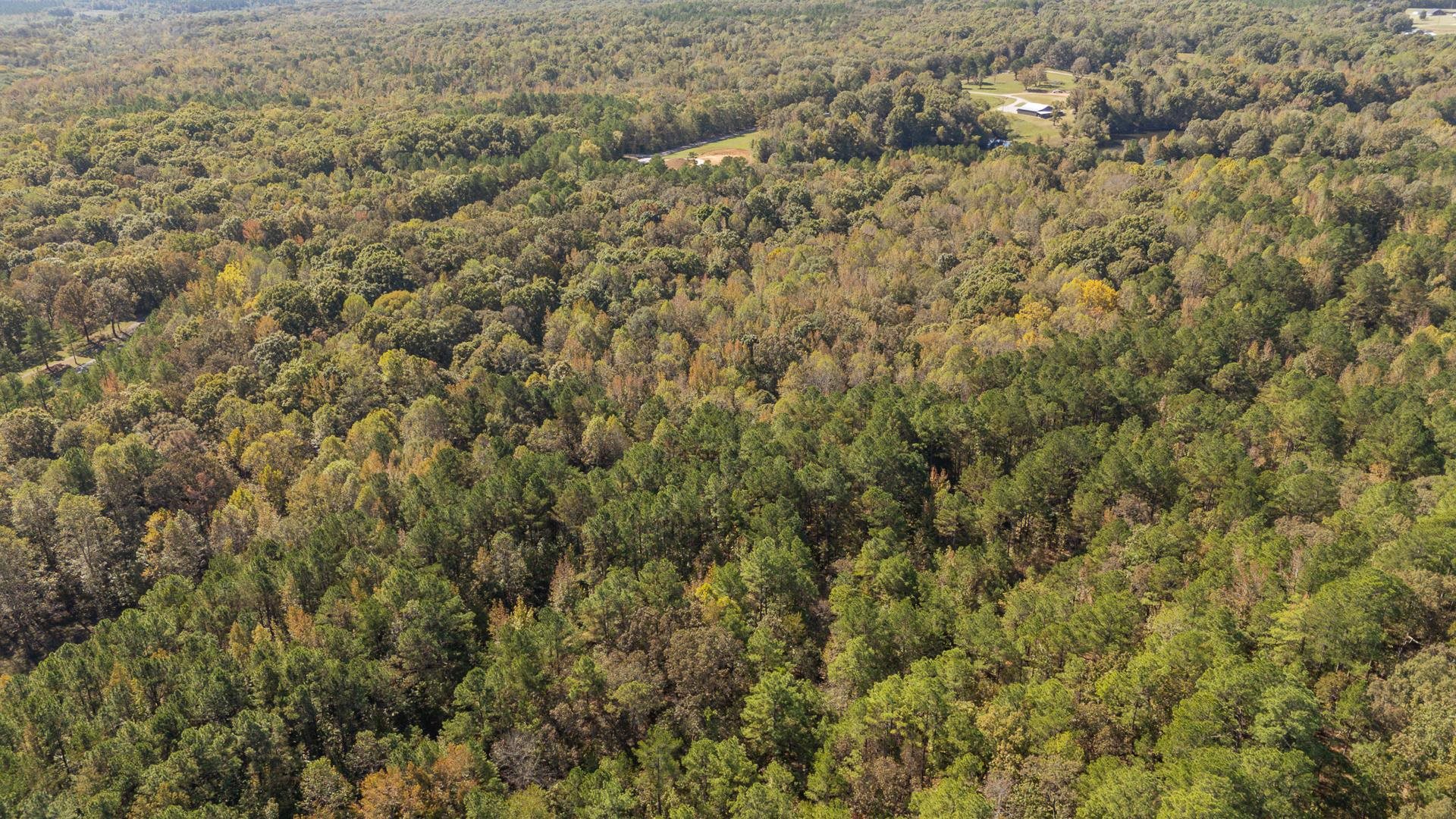 0 Cliffview Road Bolivar, TN 38008 - Photo 15 of 23 a view of a yard