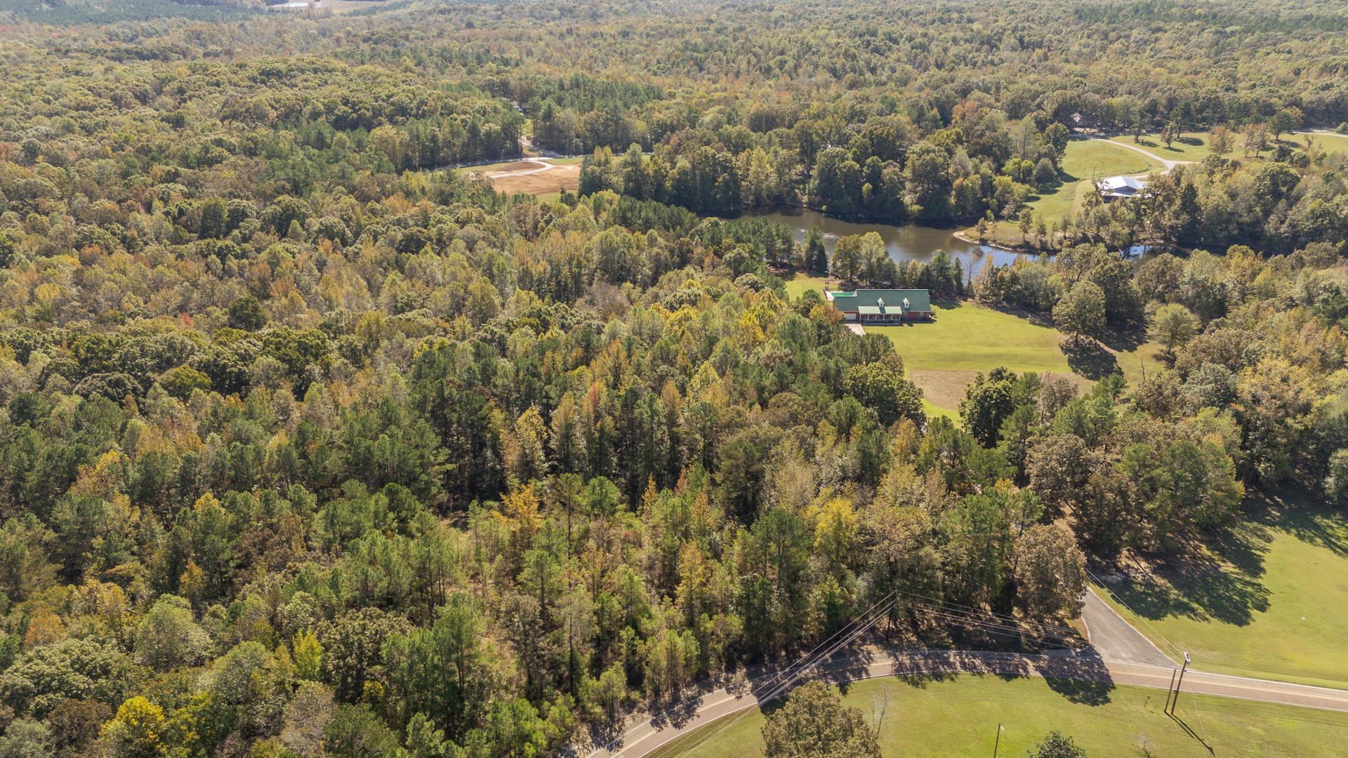 0 Cliffview Road Bolivar, TN 38008 - Photo 17 of 23