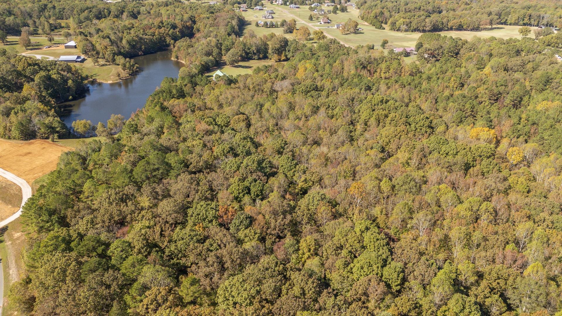 0 Cliffview Road Bolivar, TN 38008 - Photo 19 of 23 a view of a yard with trees