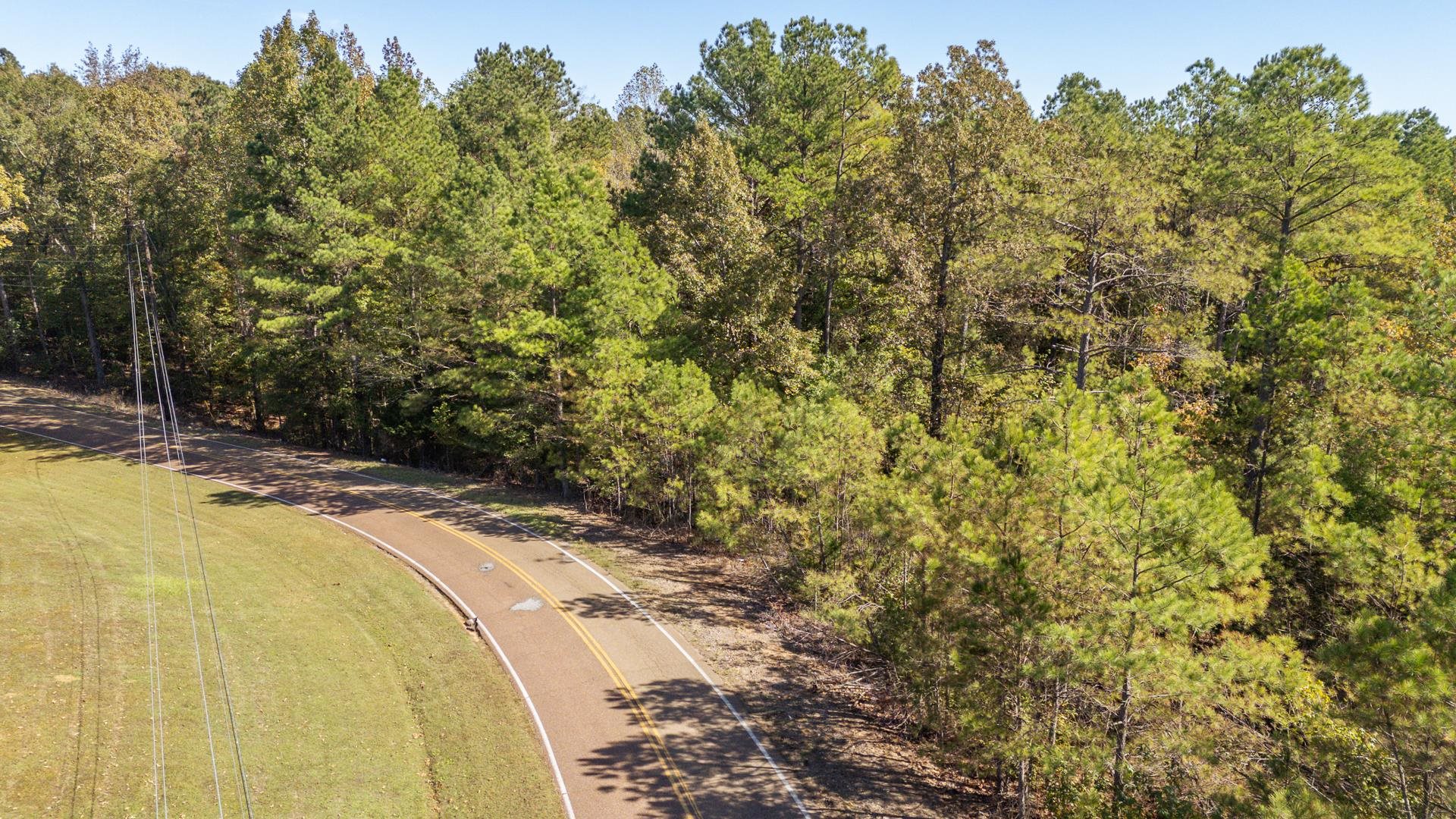 0 Cliffview Road Bolivar, TN 38008 - Photo 2 of 23 a view of a yard with trees