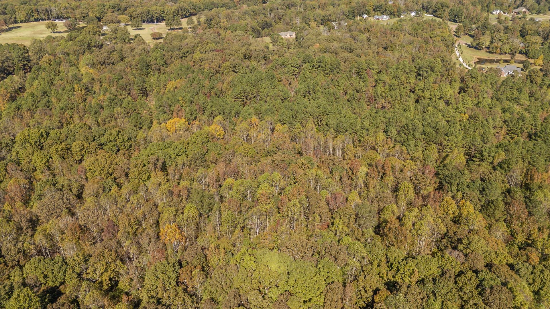 0 Cliffview Road Bolivar, TN 38008 - Photo 22 of 23