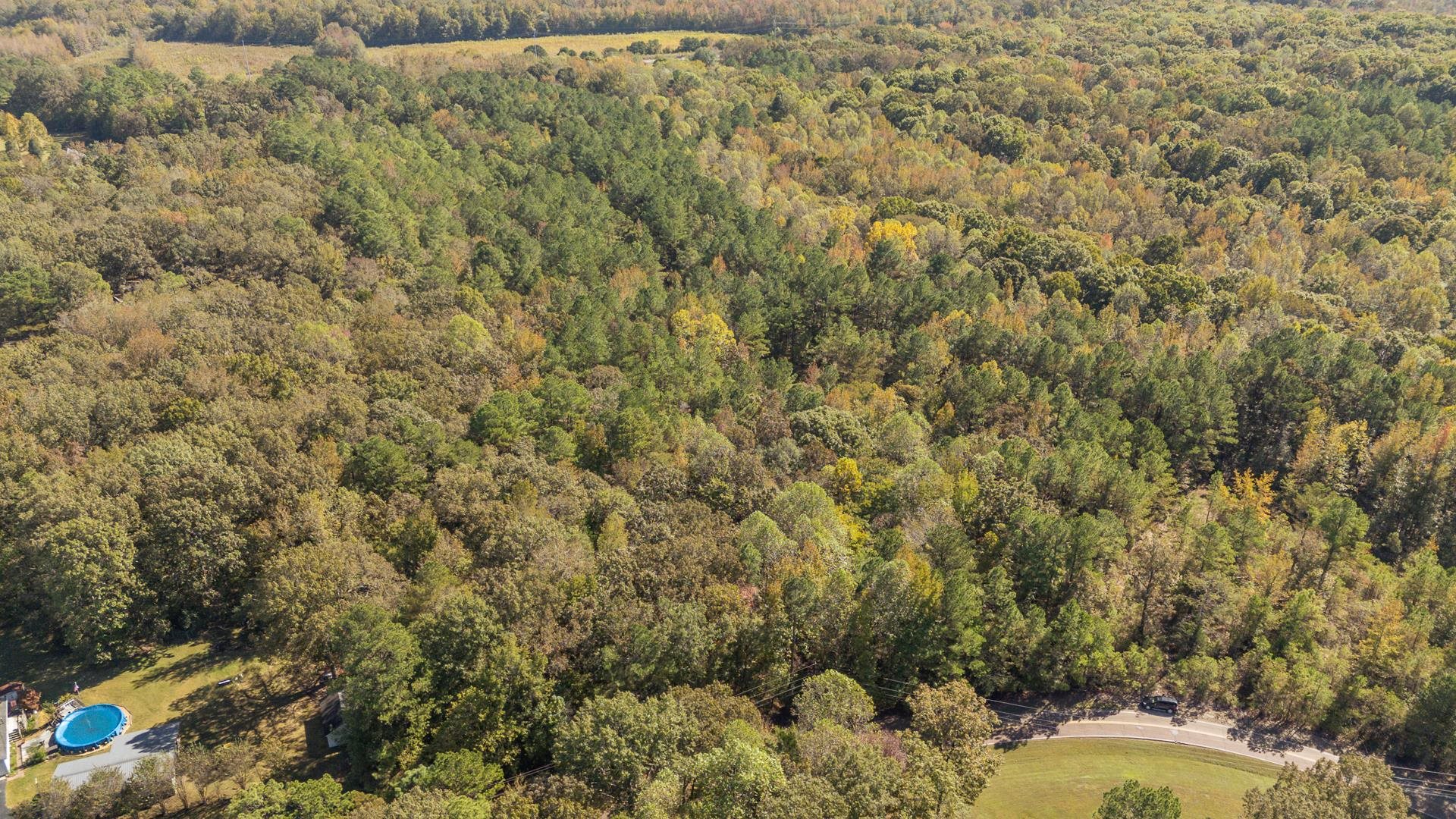 0 Cliffview Road Bolivar, TN 38008 - Photo 8 of 23