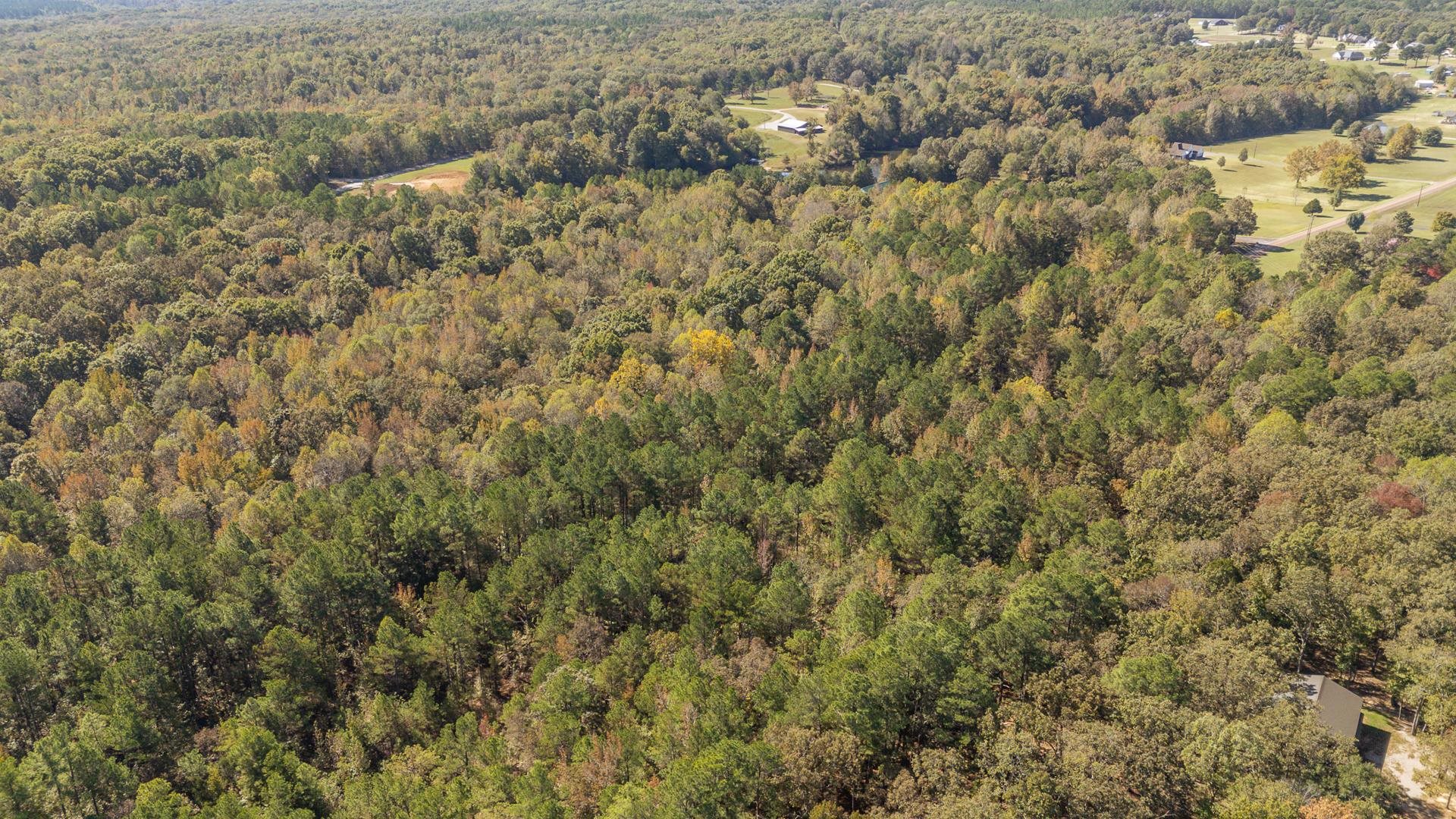 0 Cliffview Road Bolivar, TN 38008 - Photo 10 of 23 a view of a field