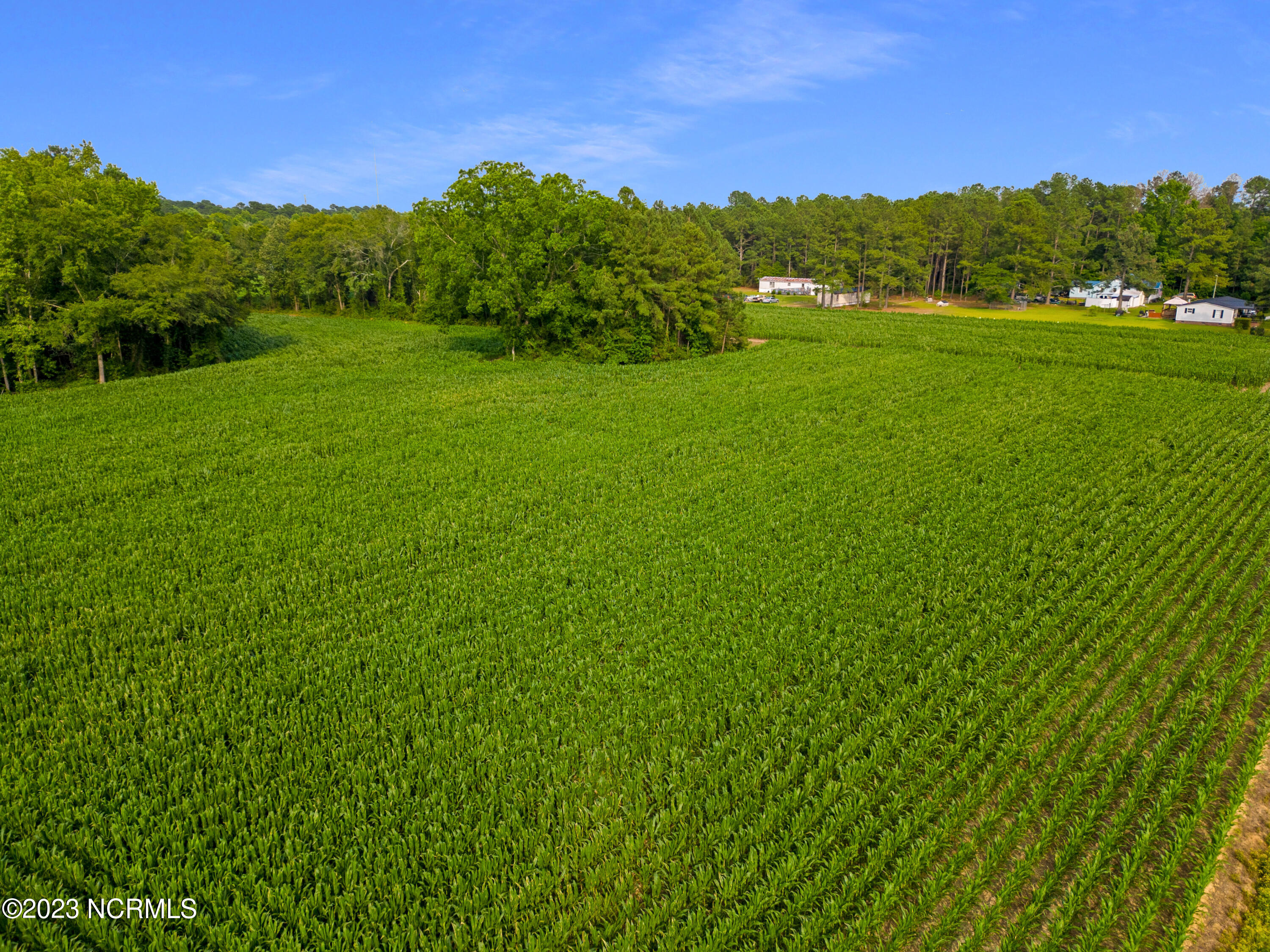O Lesane Road Tar Heel, NC 28392 - Photo 19 of 23 15